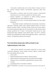 Nevyriausybinės organizacijos 3 puslapis