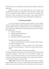 Nuolaidų rūšys 13 puslapis