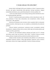 Nuolaidų rūšys 18 puslapis