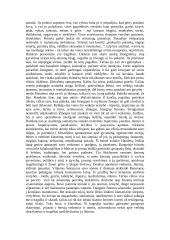 Viljamas Šekspyro tragedijos „Hamletas“ interpretacija 2 puslapis