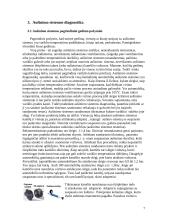 Aušinimo sistemos diagnostika 6 puslapis