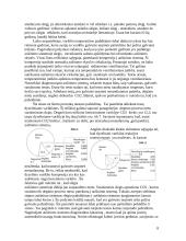 Aušinimo sistemos diagnostika 7 puslapis