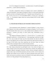 Obligacijų paketo valdymas 13 puslapis