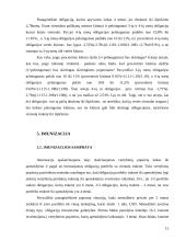 Obligacijų paketo valdymas 15 puslapis