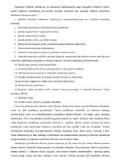 Ofšorinis verslo sąvoka 11 puslapis