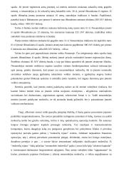 Ofšorinis verslo sąvoka 13 puslapis