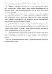 Ofšorinis verslo sąvoka 15 puslapis