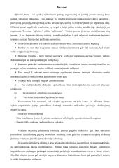 Ofšorinis verslo sąvoka 16 puslapis