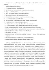 Ofšorinis verslo sąvoka 6 puslapis