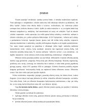 Ofšorinio verslo principai 2 puslapis