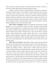 Ofšorinio verslo principai 13 puslapis