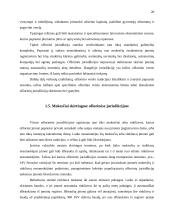 Ofšorinio verslo principai 19 puslapis