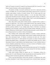 Ofšorinio verslo principai 20 puslapis