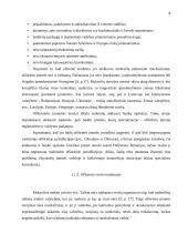Ofšorinio verslo principai 7 puslapis