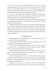 Olandijos apskaitos sistemos analizė 11 puslapis
