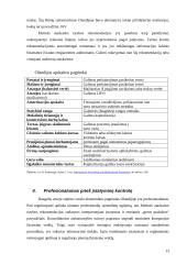 Olandijos apskaitos sistemos analizė 13 puslapis