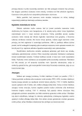 Olandijos apskaitos sistemos analizė 18 puslapis