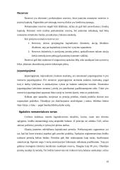 Olandijos apskaitos sistemos analizė 19 puslapis