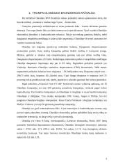 Olandijos apskaitos sistemos analizė 3 puslapis
