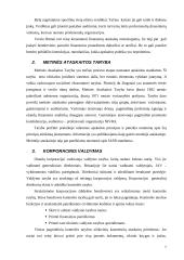Olandijos apskaitos sistemos analizė 7 puslapis
