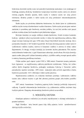 Olandijos apskaitos sistemos analizė 8 puslapis