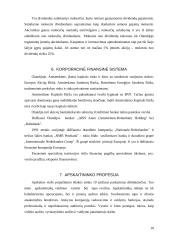 Olandijos apskaitos sistemos analizė 10 puslapis
