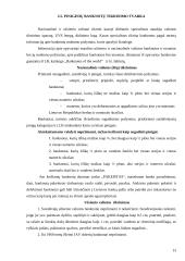 Operacijos grynaisiais pinigais 13 puslapis