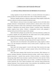 Operacijos grynaisiais pinigais 8 puslapis
