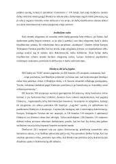 Europos Bendrijos darbo teisė 11 puslapis