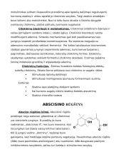 Fitohormonų vaidmuo ir jų veiklos mechanizmas augale 7 puslapis
