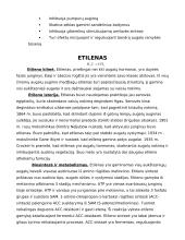 Fitohormonų vaidmuo ir jų veiklos mechanizmas augale 9 puslapis