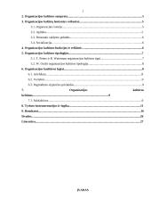 Organizacijos kultūra bei vertybės 2 puslapis