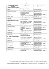 Organizacijos kultūra bei vertybės 12 puslapis