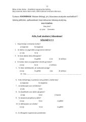 Organizacijos kultūra bei vertybės 14 puslapis