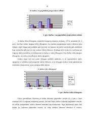 Organizacijos kultūra bei vertybės 17 puslapis