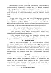 Organizacijos kultūra bei vertybės 5 puslapis