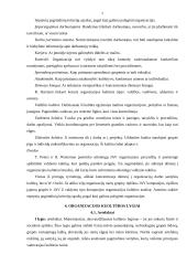 Organizacijos kultūra bei vertybės 8 puslapis