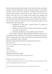 Organizacijos kultūra ir personalo politika 13 puslapis