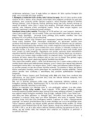 Lyčių studijos 2 puslapis