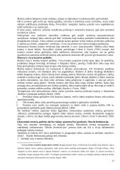 Lyčių studijos 17 puslapis