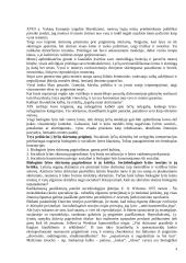 Lyčių studijos 3 puslapis