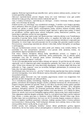 Lyčių studijos 4 puslapis