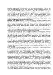 Lyčių studijos 5 puslapis