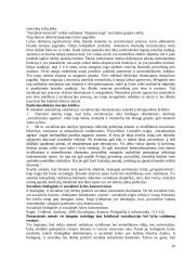 Lyčių studijos 10 puslapis