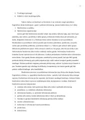 Organizacijos kultūra ir vystymas 17 puslapis