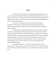 Organizacijos kultūra ir vystymas 5 puslapis