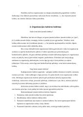 Organizacijos kultūra ir vystymas 7 puslapis