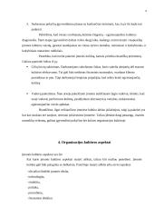 Organizacijos kultūra ir vystymas 8 puslapis