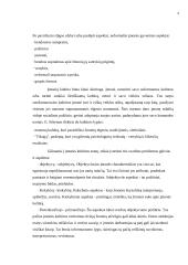 Organizacijos kultūra ir vystymas 9 puslapis