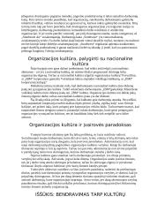 Organizacijos kultūros samprata 14 puslapis